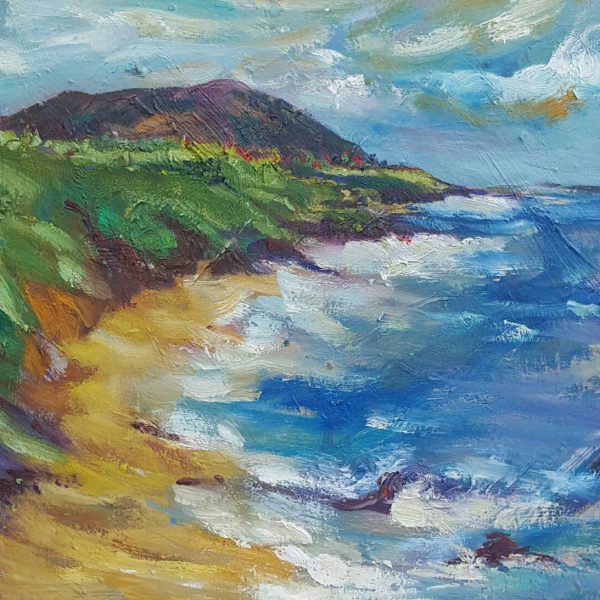 Ballymoney Beach,Co.Wexford