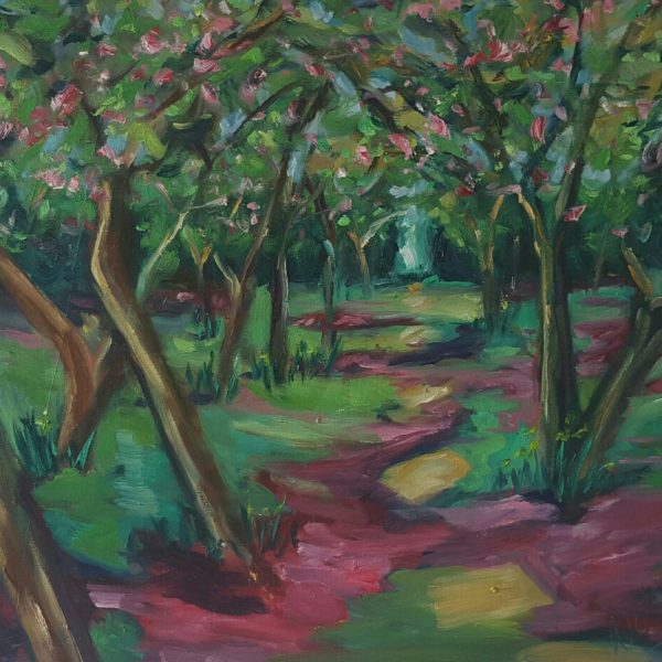 Apple Tree Orchard in Bloom