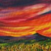 The Red red skies of Sunset