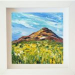 Summer Sugarloaf