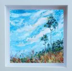 Tall Trees of Curracloe