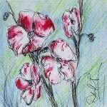 Orchid Daze