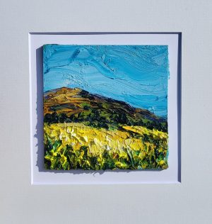 Golden fields of Brayhead